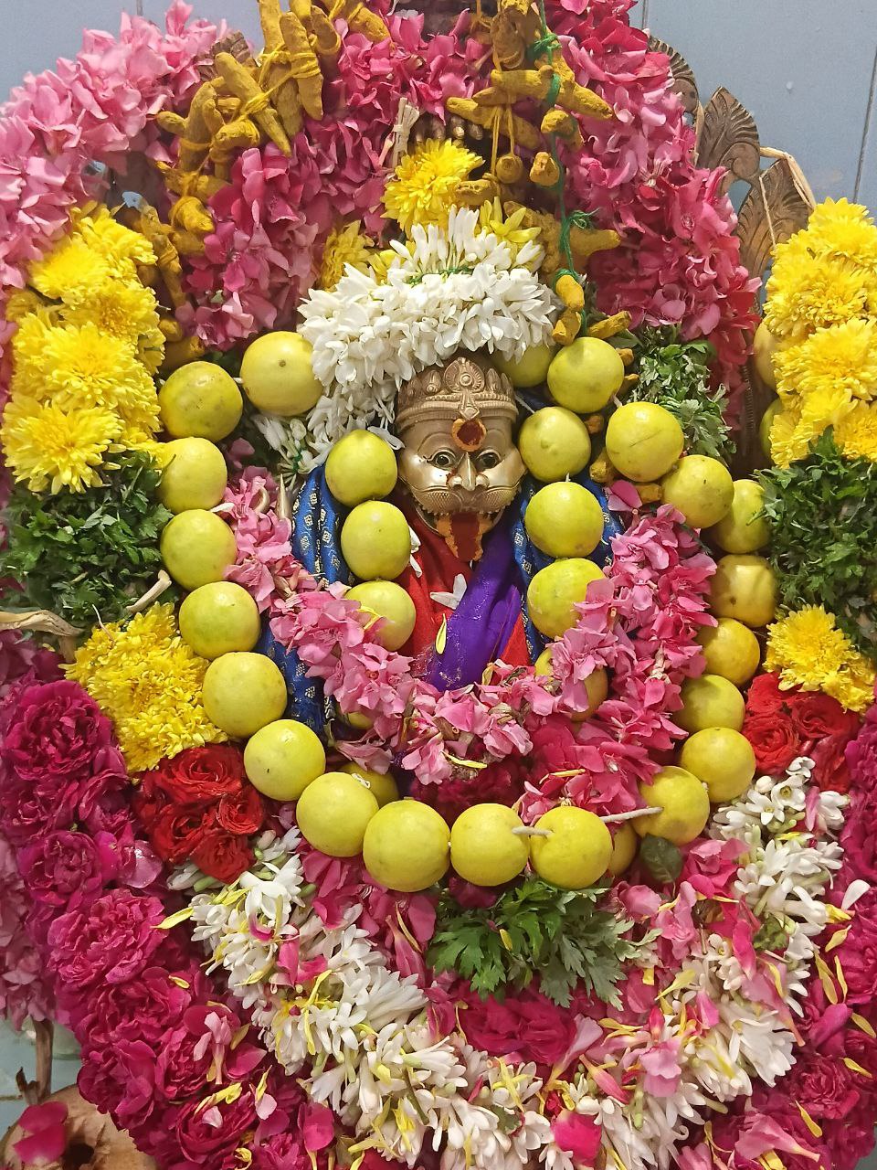 Paathala Pratyangira Homam visual